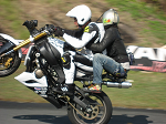 800IMG_6275_thumb.png